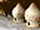 B.granary.classic.png