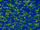 Gen=fractal startpos=variable.png