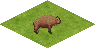 Ts.buffalo