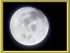 B.apollo program.png