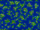 Gen=island startpos=variable.png