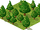 Forest.png