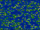 Gen=fractal startpos=single.png