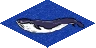 Ts.whales2