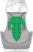Trilobite Vistamp