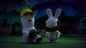 Photographer Rabbid