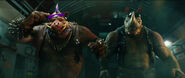 Bebop and Rocksteady (TMNT 2014 film series)