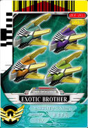 Dragon Brothers Power Card