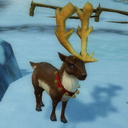 Yule reindeer