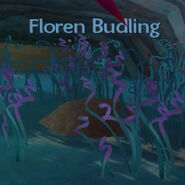 Floren budling