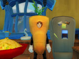 Carrot Outfit