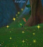 There is no rare collection of fireflies