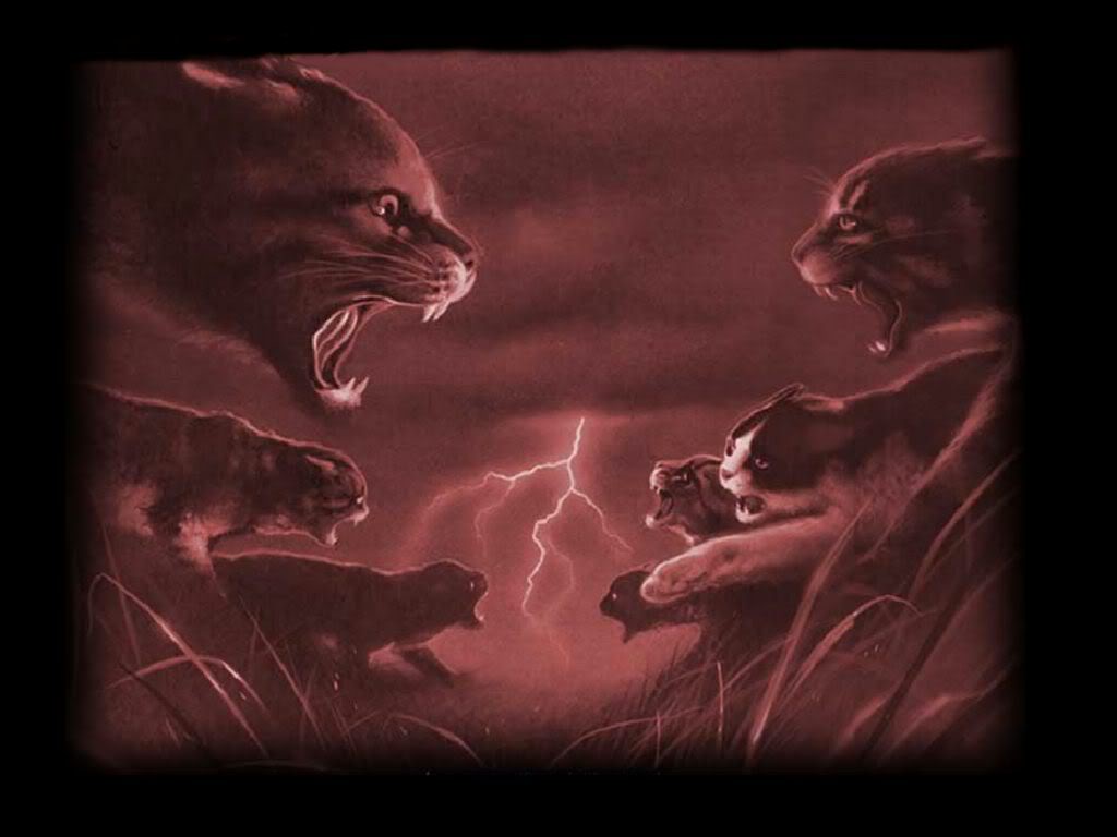 Shine Free Realms Warrior Cats Wiki Fandom