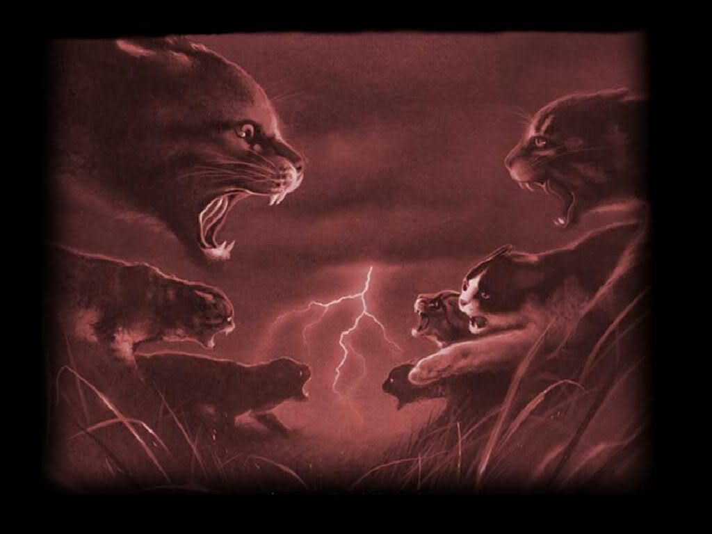 Shine Free Realms Warrior Cats Wiki Fandom