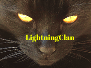 Lightningclan