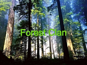 Anotherforest.jpg (443 KB) Anotherforest