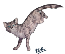 Warriors jayfeather by arlowa-d5pf0fl