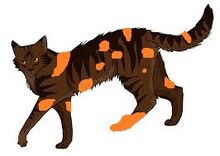 Warrior Cats Forever! - Thunderclan Cats: Firestar Showing 1-34 of 34