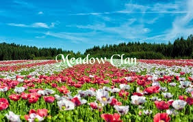 Meadow Clan