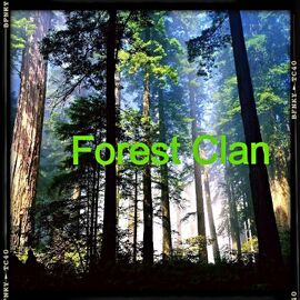 Forest Clan Flag v