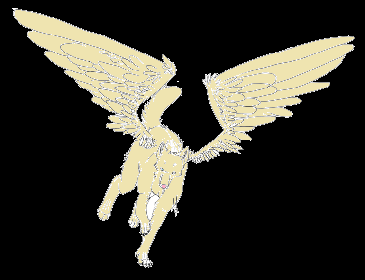 warrior cats with wings drawings