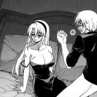 Siblings Arc Freezing Wiki Fandom Like freezing, this show also has action scenes and there is the ecchi with harem and scifi elements as well! siblings arc freezing wiki fandom