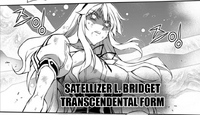 Satellizer's Transcendental Form