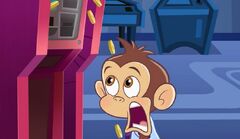 Shocked Bo Monkey