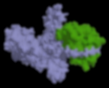 200px-Botulinumtoxin surface 3BTA