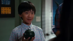 "You know, Mommy, you'd love bocce. It means "boss" in Latin