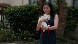 "Alright, Mr. Buns, here's the plan. We'll walk into the admin building, you'll distract everyone with your cuteness, and then I'll hit them with my plan to start college guidance in the 7th grade