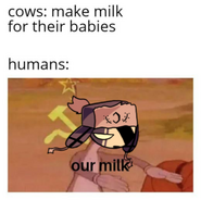 Mfm Milk
