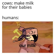 A milk meme of Ruv. (Found in the files)