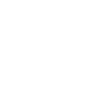 Mushroom used for screen transitions.