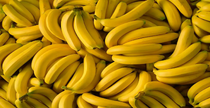 Banana Background (2nd Half)