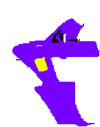 Left pose