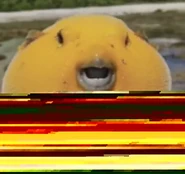 "puffer_beamed.png", found in the game files