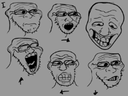 "wojoll.png", found in the game files