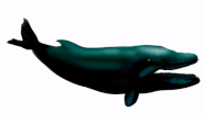 Background Whale (Incomplete 2.0 Build, Unused in V1)