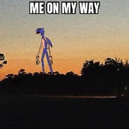 OnMyWayToDoYourMom.png (204 KB) OnMyWay.EXE's original appearance, edited over an artpiece by by @ssskinwalker on Instagram.