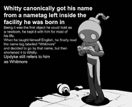 A drawing of how Whitty got his name.