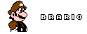 Brario-pet-nameplate