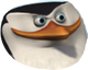 SkippaIcon.png