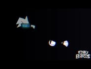 Funky Birds V1 - Somethings lurking