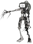 New physical form