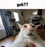 Guh-cat