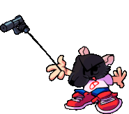 Unused attack animation