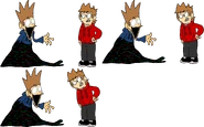 TordtomFNG.png (296 KB)