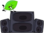 BFDILeafyTrain