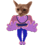 Slynet mexico down.gif (1,007 KB) Down pose